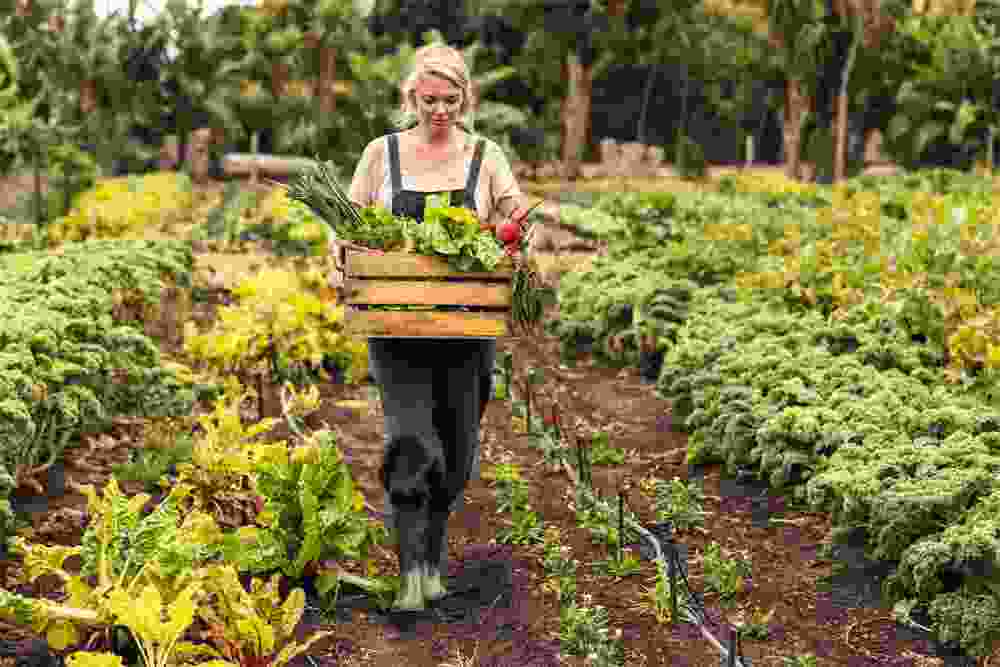 Axon Crops Care