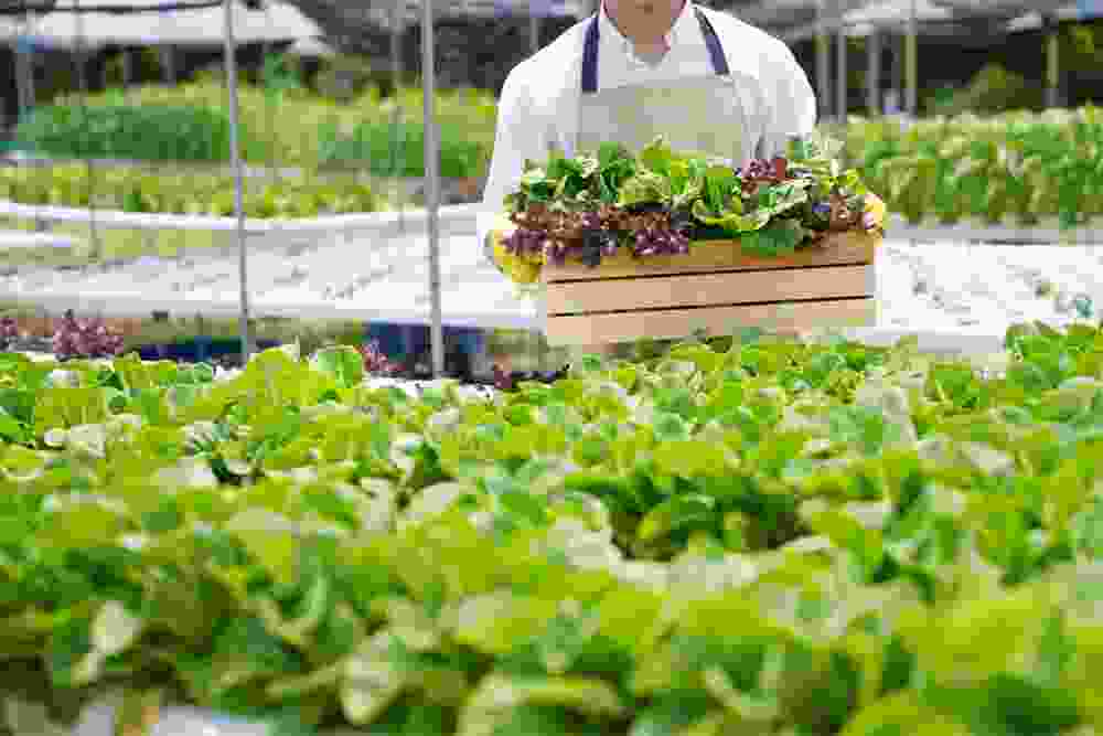 Axon Crops Care
