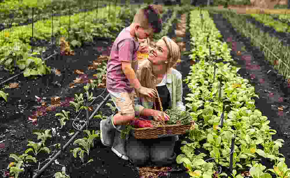 Axon Crops Care
