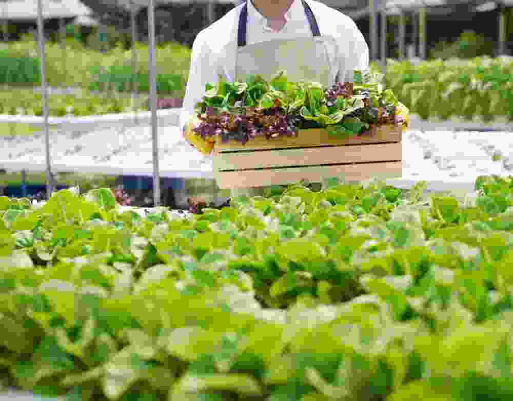 Axon Crops Care