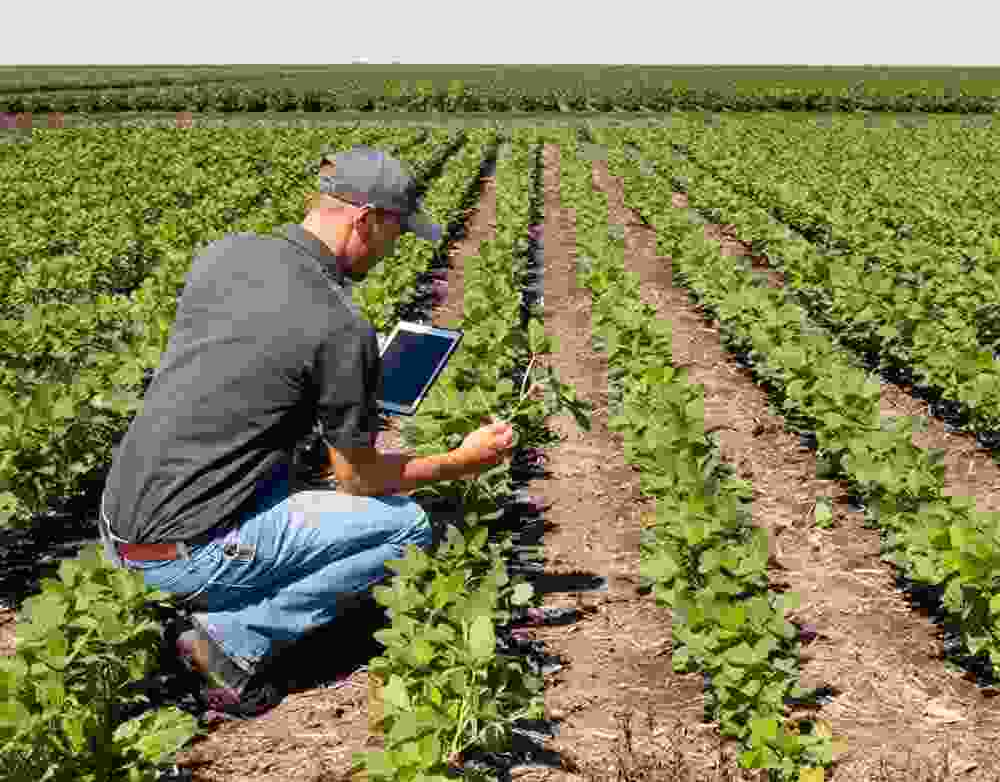 Axon Crops Care