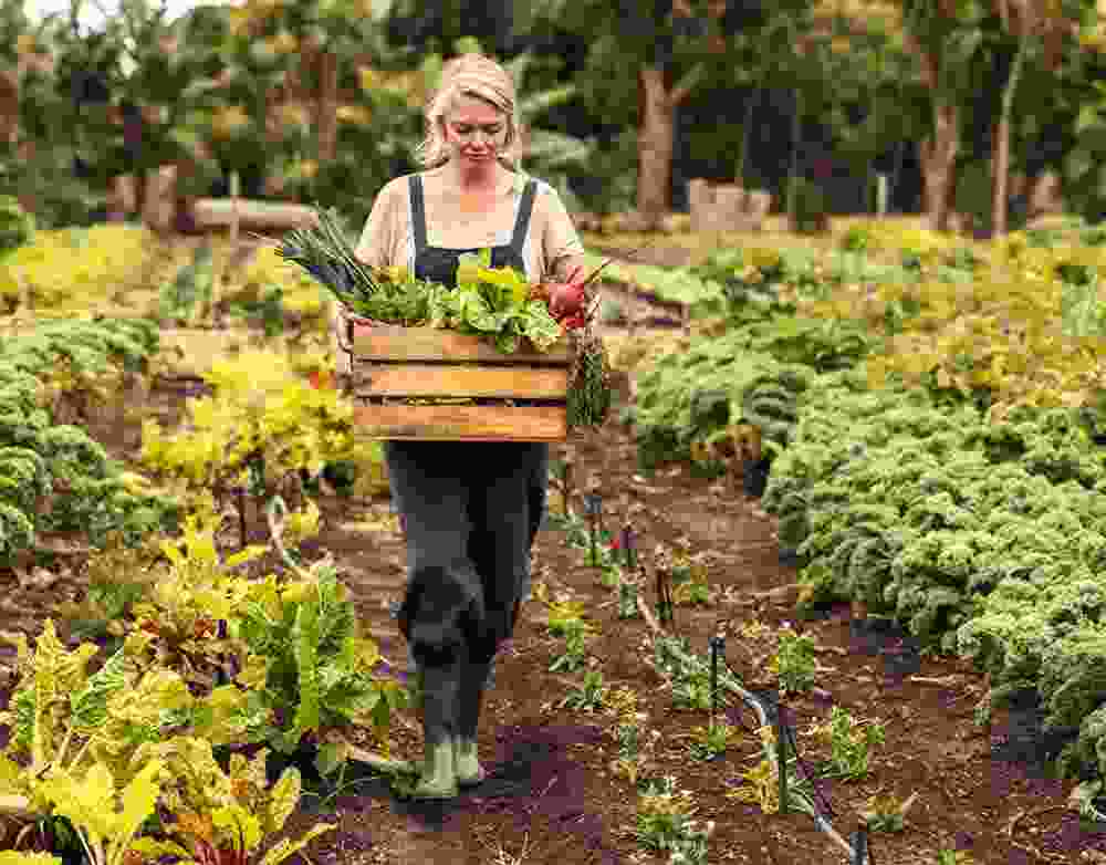 Axon Crops Care